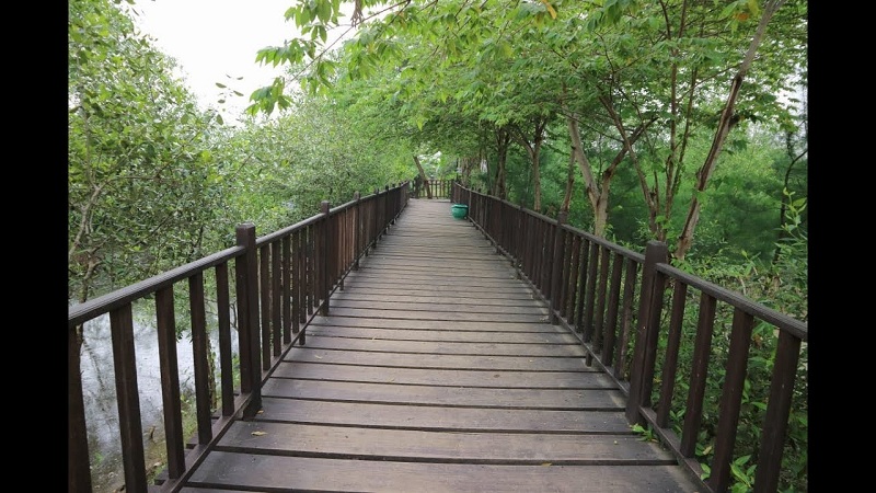 Ekowisata Mangrove Wonorejo