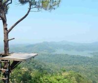 Berkunjung ke Wisata Kalibiru Yogyakarta, Hutan Subur yang Indah!